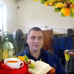 , 41, 