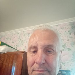 , 65 , 
