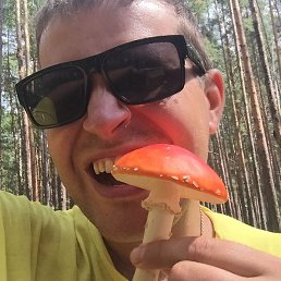 �����, ���������, 37 ���