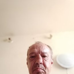 , 52, 