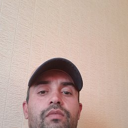 , 33,  