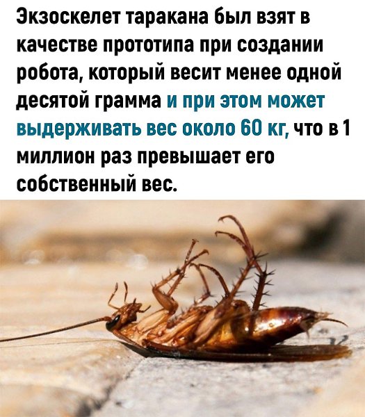   ? - 18  2024  17:36 - 3