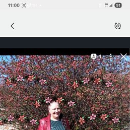 , 61, 