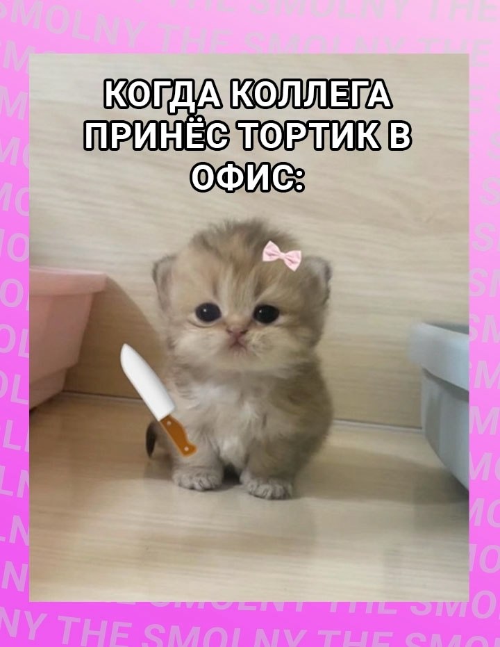          :