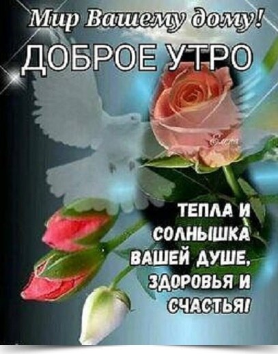 ~~~~~~~~~~~~~~~~~~~~~~