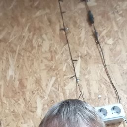 �������, ����������, 40 ���