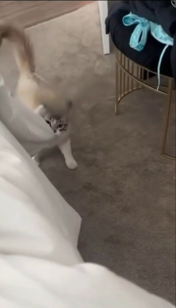 ����� �� ����� ��� 8 ����, � ������������� ������� �� ��� ����)