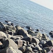 , 33 , 