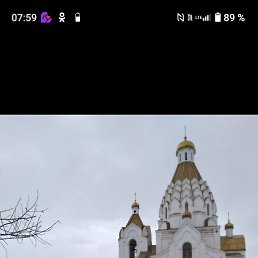 ���� ������, ����������, 44 ���� - ��������� 31 ������� 2023