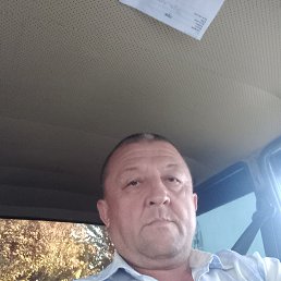 , 52, 