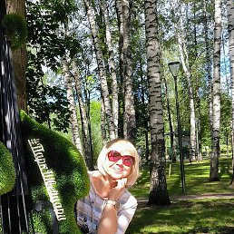 �����, ����, 61 ���