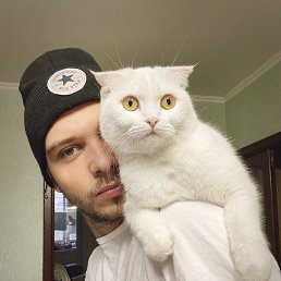 ���� ������, ������, 33 ���� - ��������� 30 ������ 2024