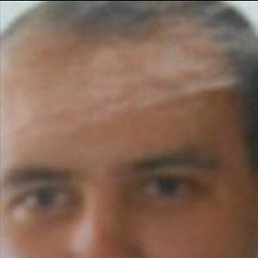 ���������, 44 ����, ������