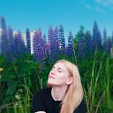 ���� ��������, �����-���������, 37 ��� - ��������� 23 ���� 2025 � ������ ���� ����������