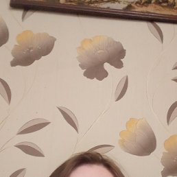 , 44,  