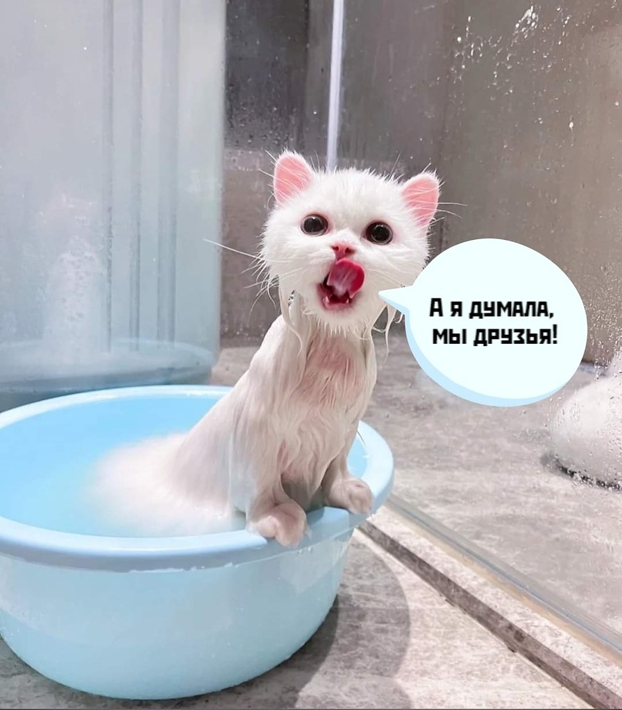       - 29  2025  21:58 - 2