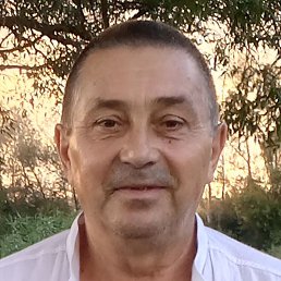 ������, ��������, 65 ���