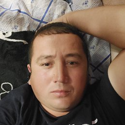 , 29, 