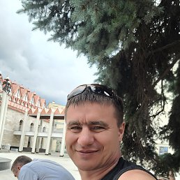 , 44, 