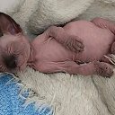 ���� ������, ������ - ��������� 11 �������� 2025 � ������ ������ ��������