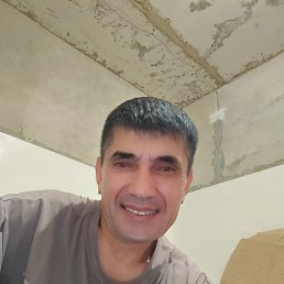 , 44, 