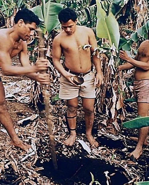  1966            .     ... - 2