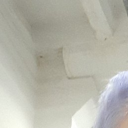 �����, ���������, 67 ���