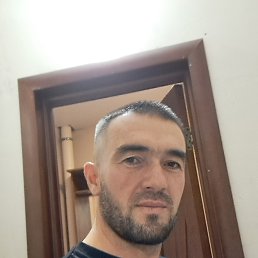 , 41, 