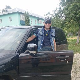 , 39, 
