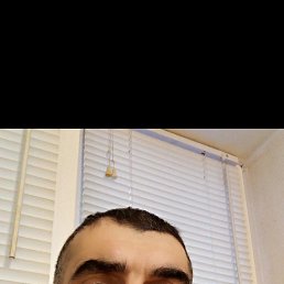 , 41, 