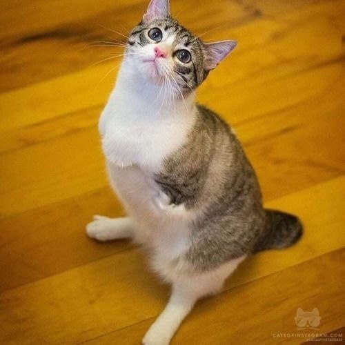 ������������ - �� ����� �� ������! - 5