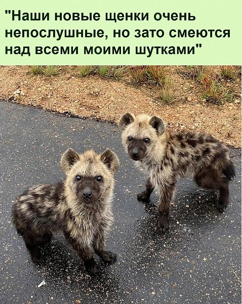 ������ ��������� :D - 29 ������� 2023 � 12:32