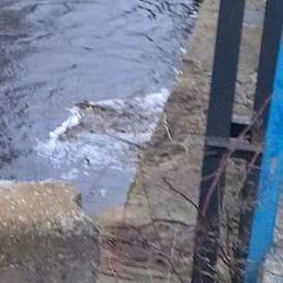 �����, �����, 60 ���