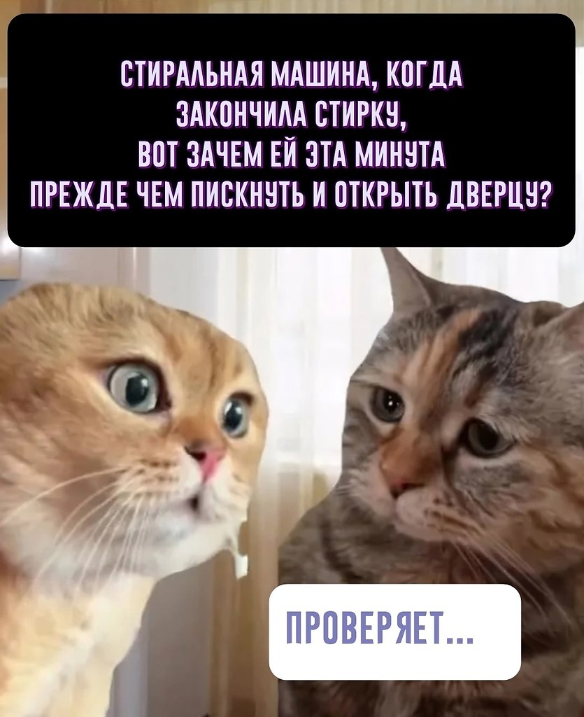   , ? - 2