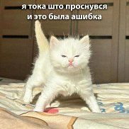 ����, 47 ���, ������