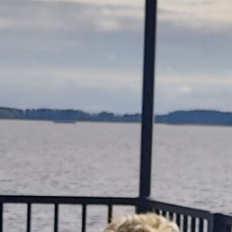 , 54, 