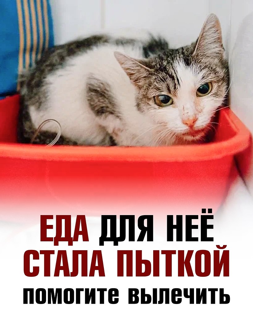 ���� �� ����� ����. �� ���������� ������ ���� ������ ������� �������. ���������� �� ���, ���� � ...