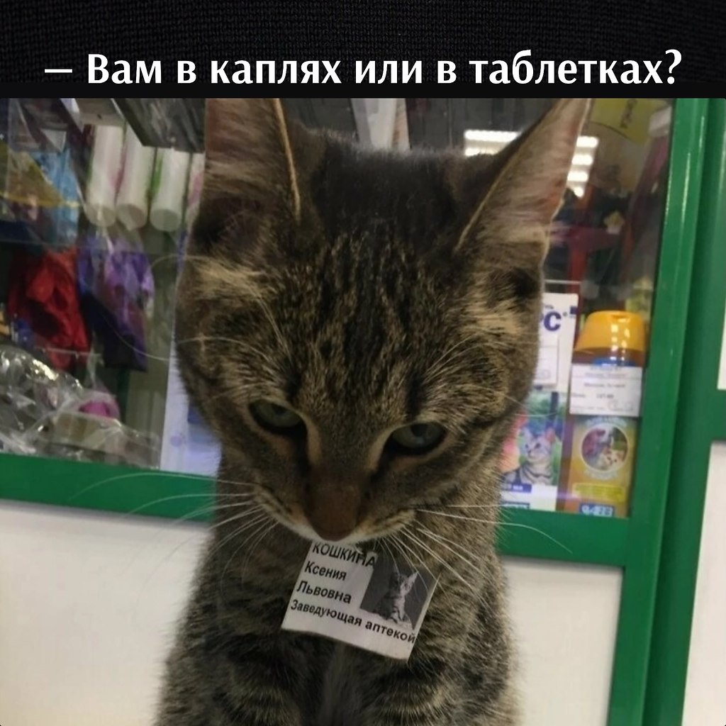       - 16  2025  16:46 - 2