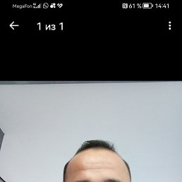 , 37, 