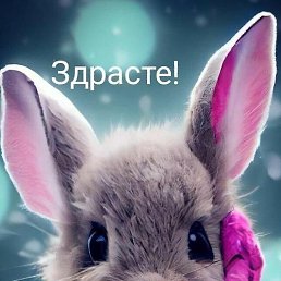 , , 58 