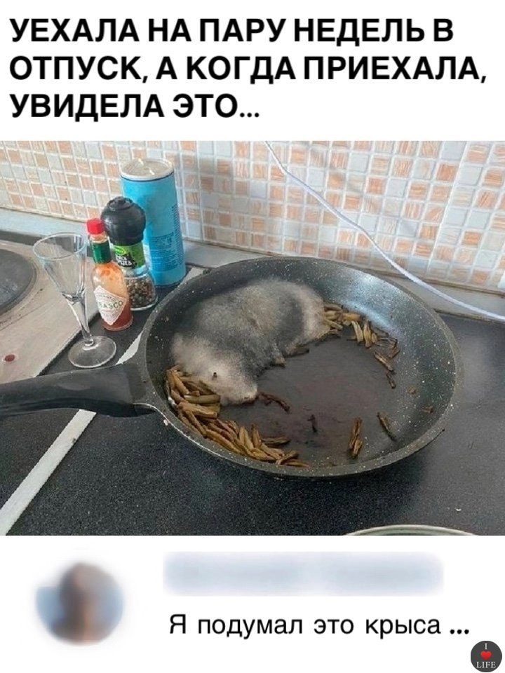  ,    .