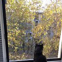 ���� �� ����������� �������� �������! �� ������� ���� ����������