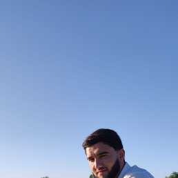 , 24, 