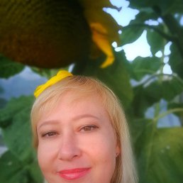 , 49, 