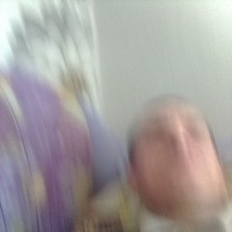 ���� �����, �������, 40 ��� - ��������� 28 ���� 2026