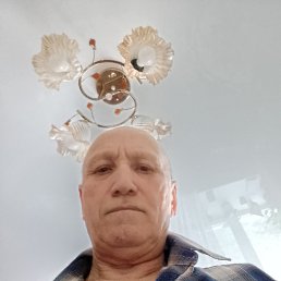 , 66, 