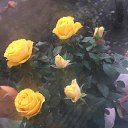 ���� ����, �����-���������, 70 ��� - ��������� 14 ������ 2024 � ������ ���� ����������