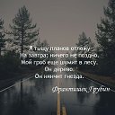 ���� �����, ����� - ��������� 8 ������� 2023 � ������ ������ ��������