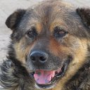 ���� ��������, ������� - ��������� 28 ������ 2025 � ������ ������ ��������