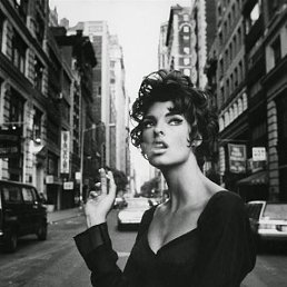 �����, 33 ����, ����